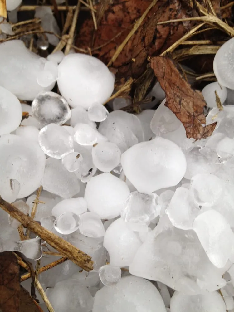 Slide of Armor Roofing