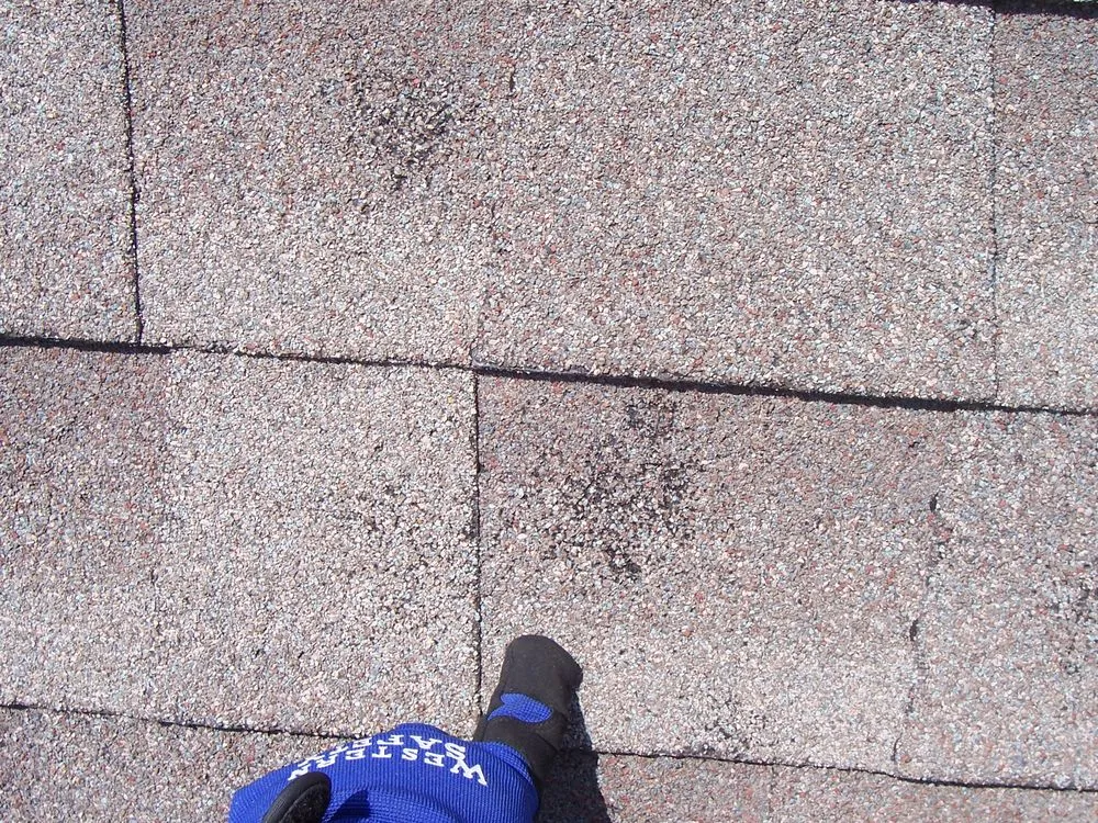 Slide of Armor Shield Roofing