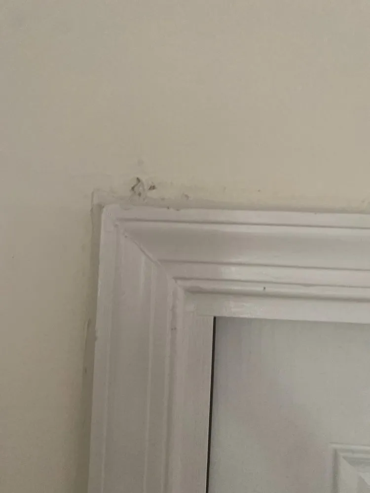 Slide of Armorvue Window & Door