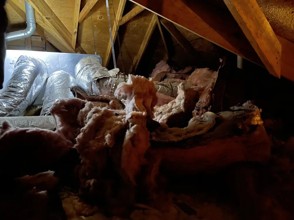 Slide of Armour Spray Foam