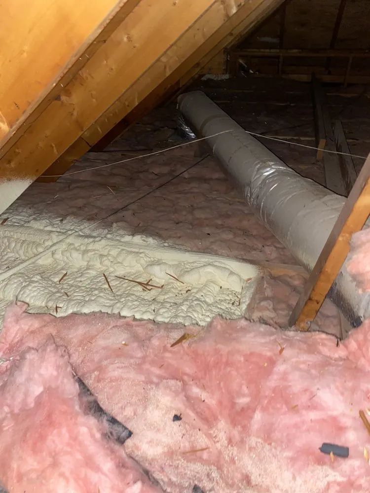 Slide of Armour Spray Foam