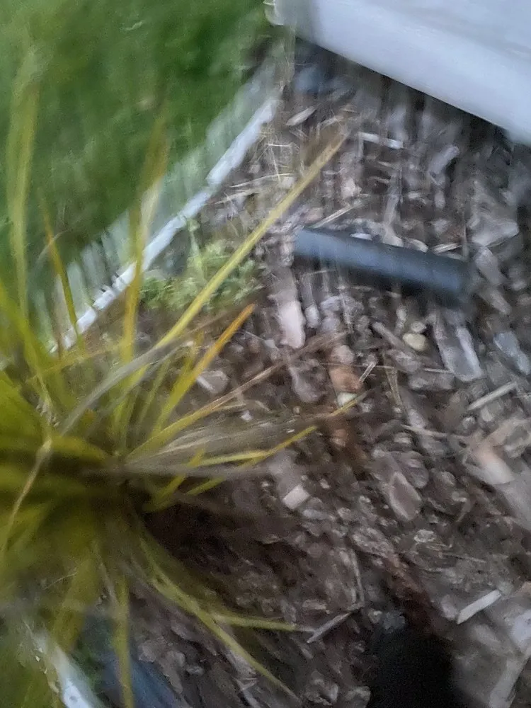 Slide of Armstrong Roofing