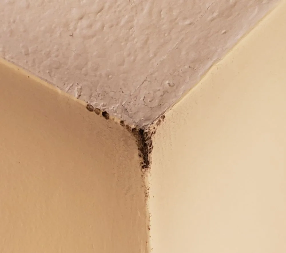 Slide of Arrow Roofing and Siding