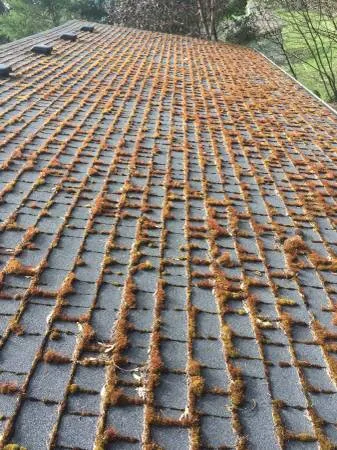 Slide of Arrowhead Roof Cleaning & Exteriors