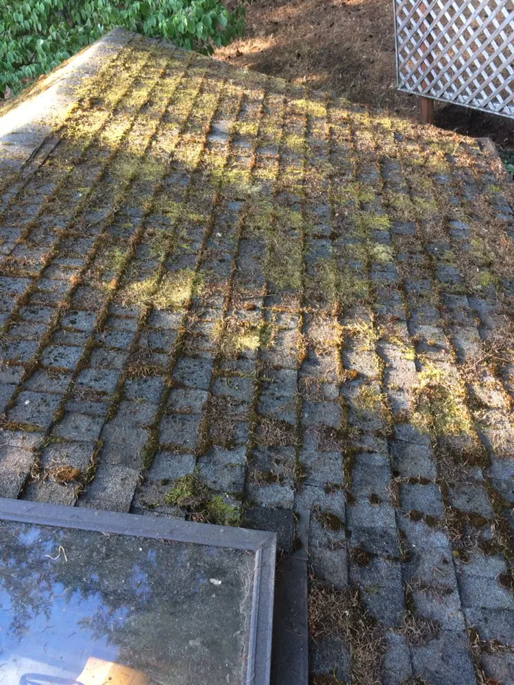 Slide of Arrowhead Roof Cleaning & Exteriors