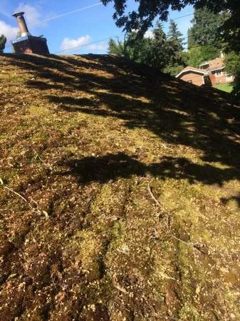 Slide of Arrowhead Roof Cleaning & Exteriors