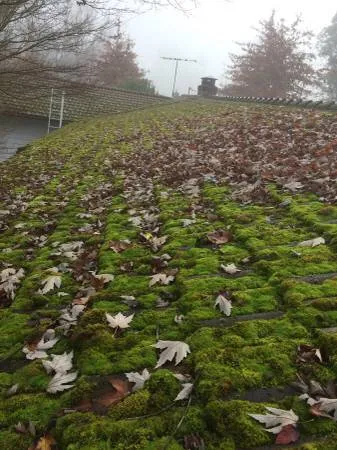 Slide of Arrowhead Roof Cleaning & Exteriors