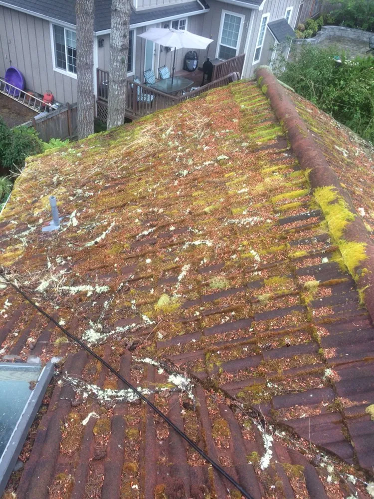 Slide of Arrowhead Roof Cleaning & Exteriors