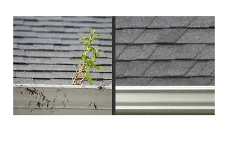 Slide of Arrowhead Roof Cleaning