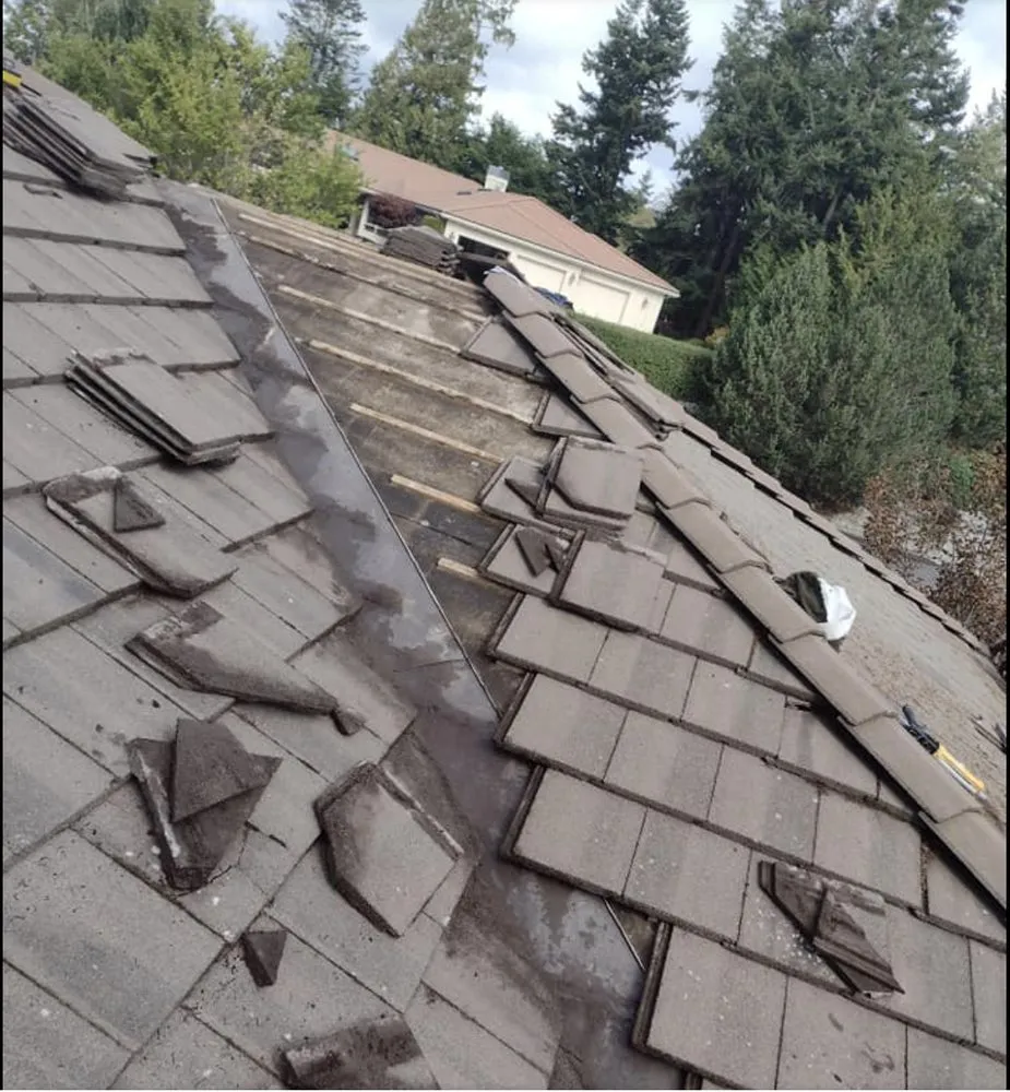 Slide of Arrowhead Roof Cleaning