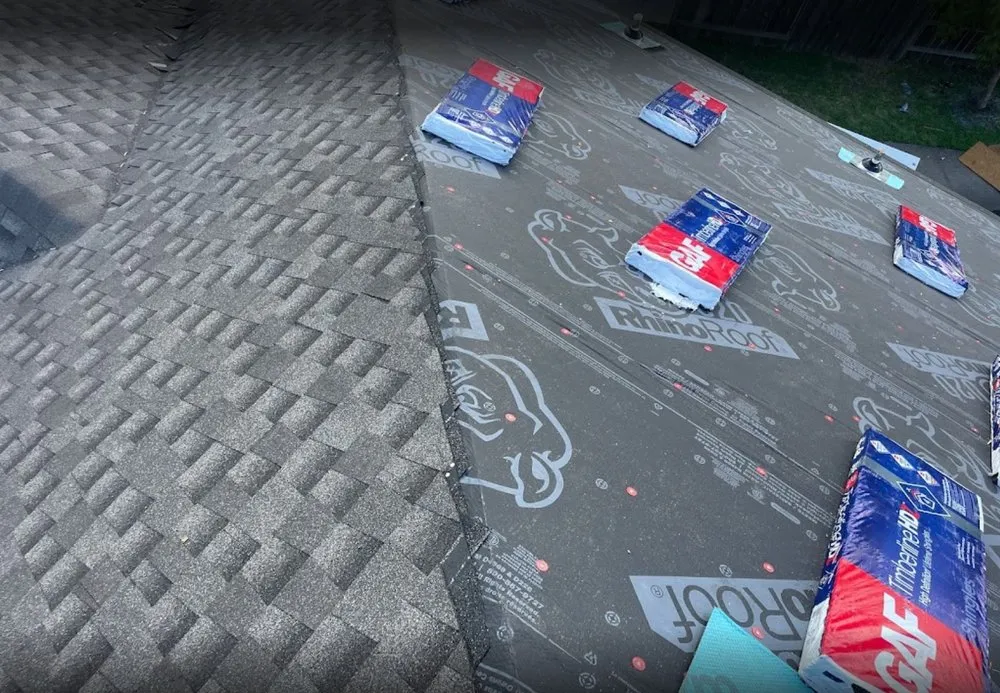 Slide of Art of the Roof