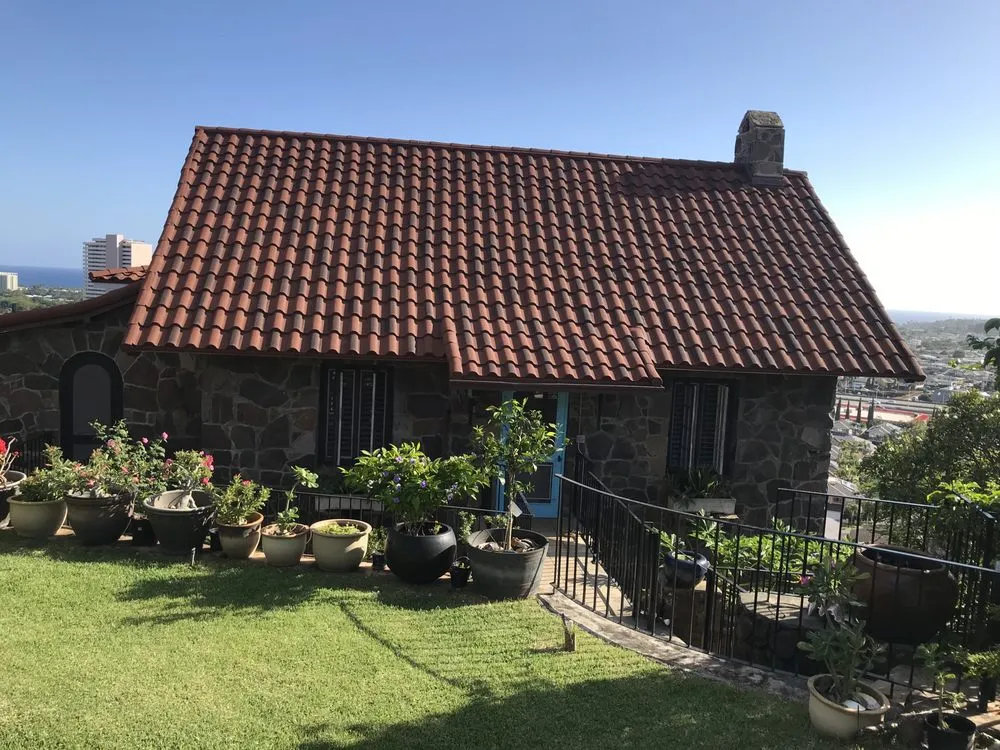 Slide of Art The Roofer