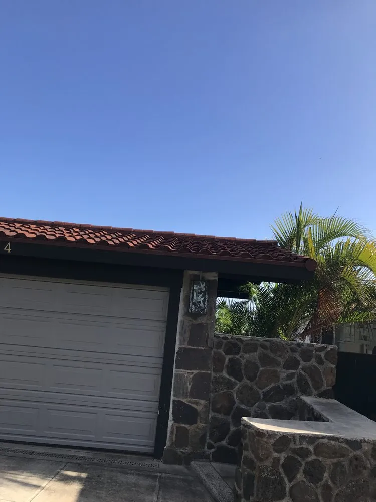 Slide of Art The Roofer