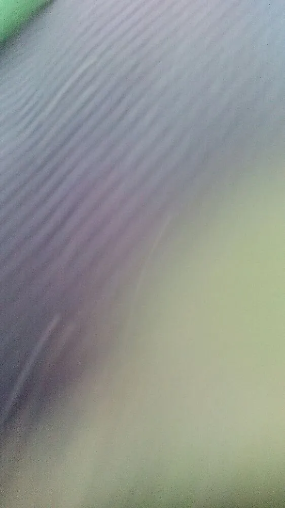 Slide of Artistic Exteriors 2