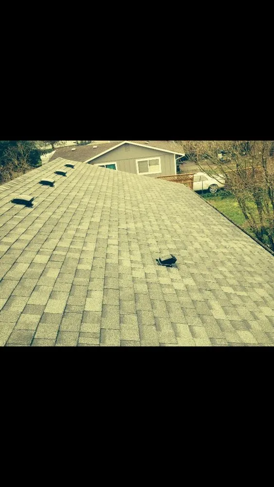 Emergency roof inspection experts serving Roy, WA - Artistic Grounds Service