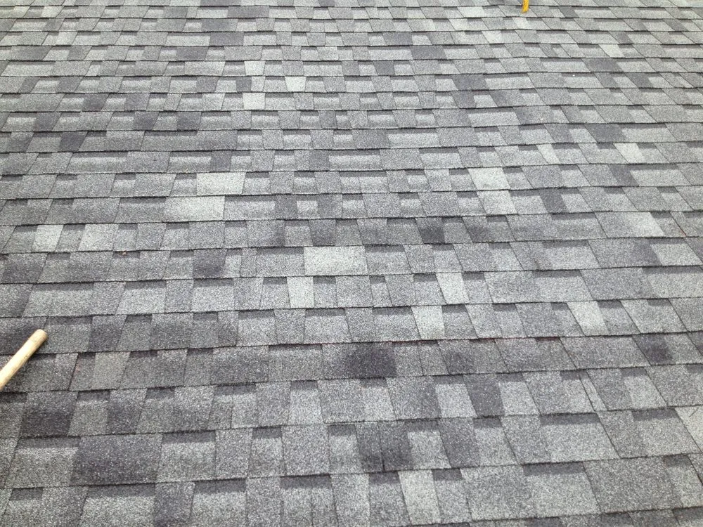 Professional flat roof repair experts serving Roy, WA - Artistic Grounds Service