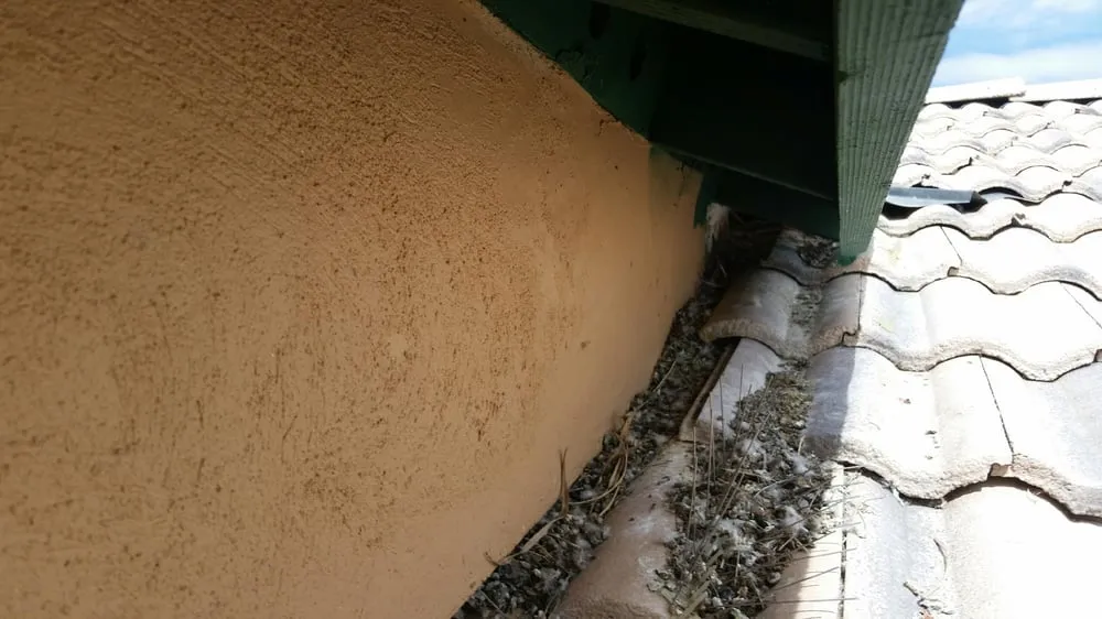 Slide of Artistic Roofing Systems