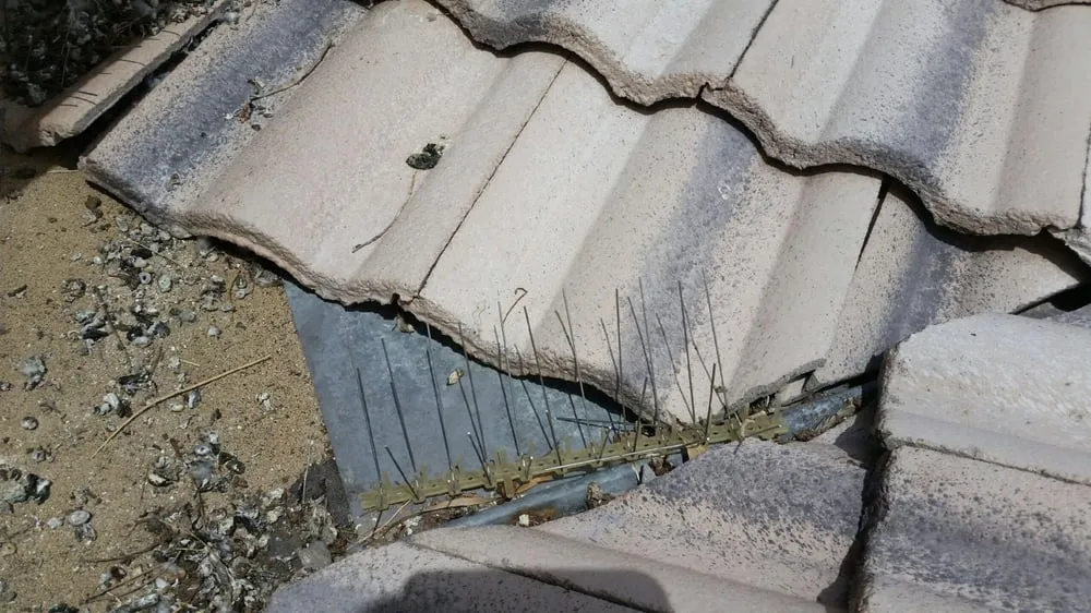 Slide of Artistic Roofing Systems