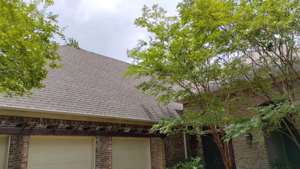 Slide of Arturos Ruffin