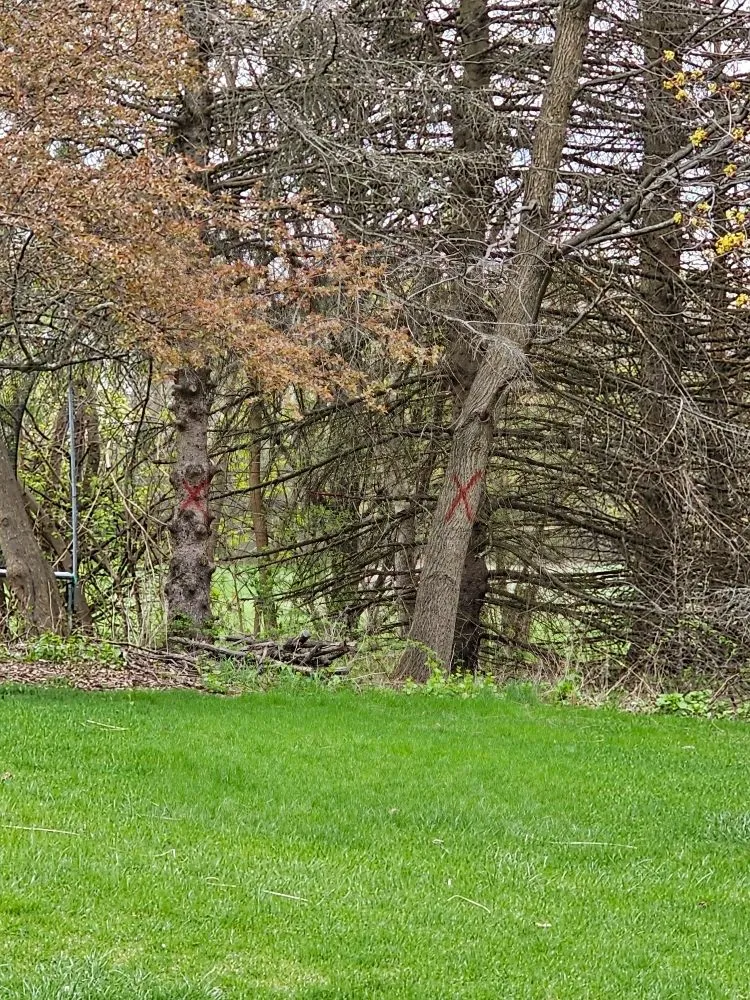 Slide of As Good As New