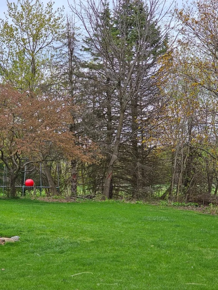 Slide of As Good As New