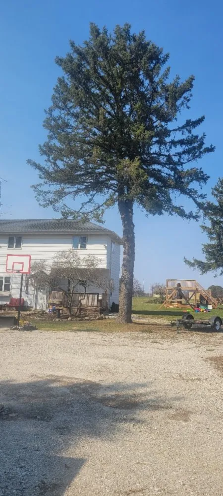 Slide of As Good As New