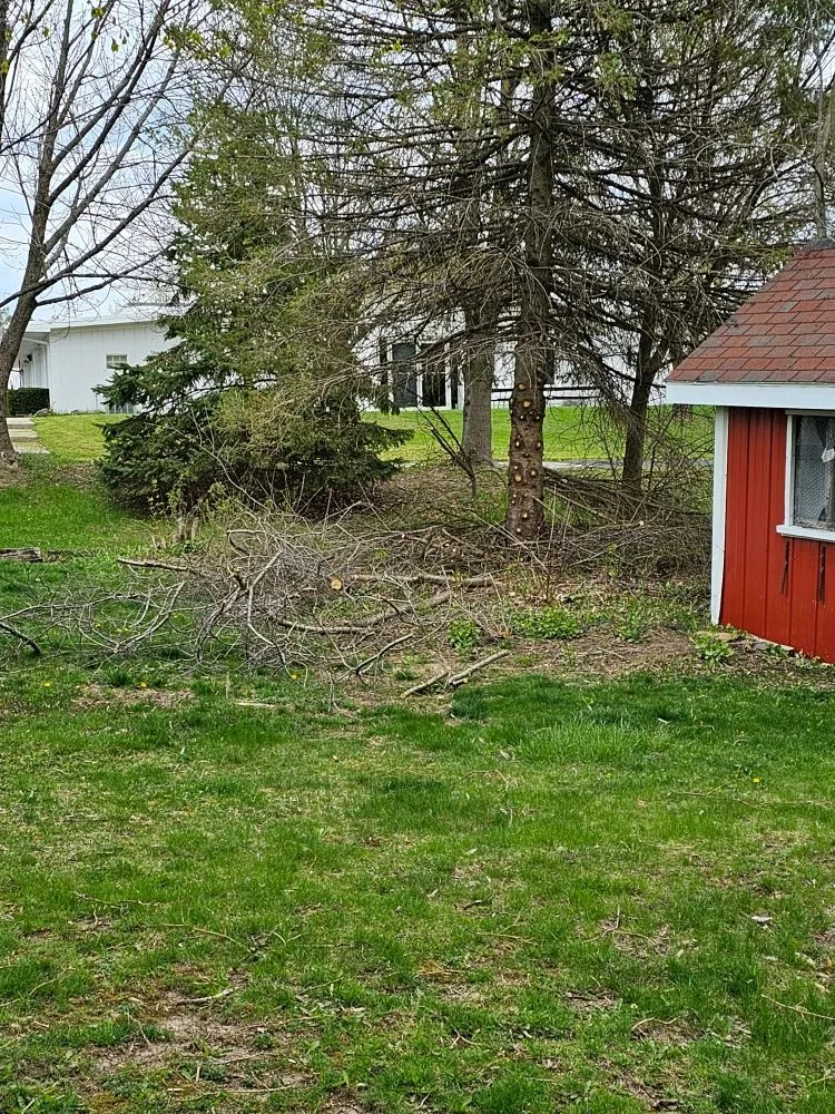 Slide of As Good As New