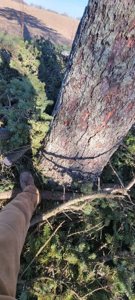 Slide of As Good As New