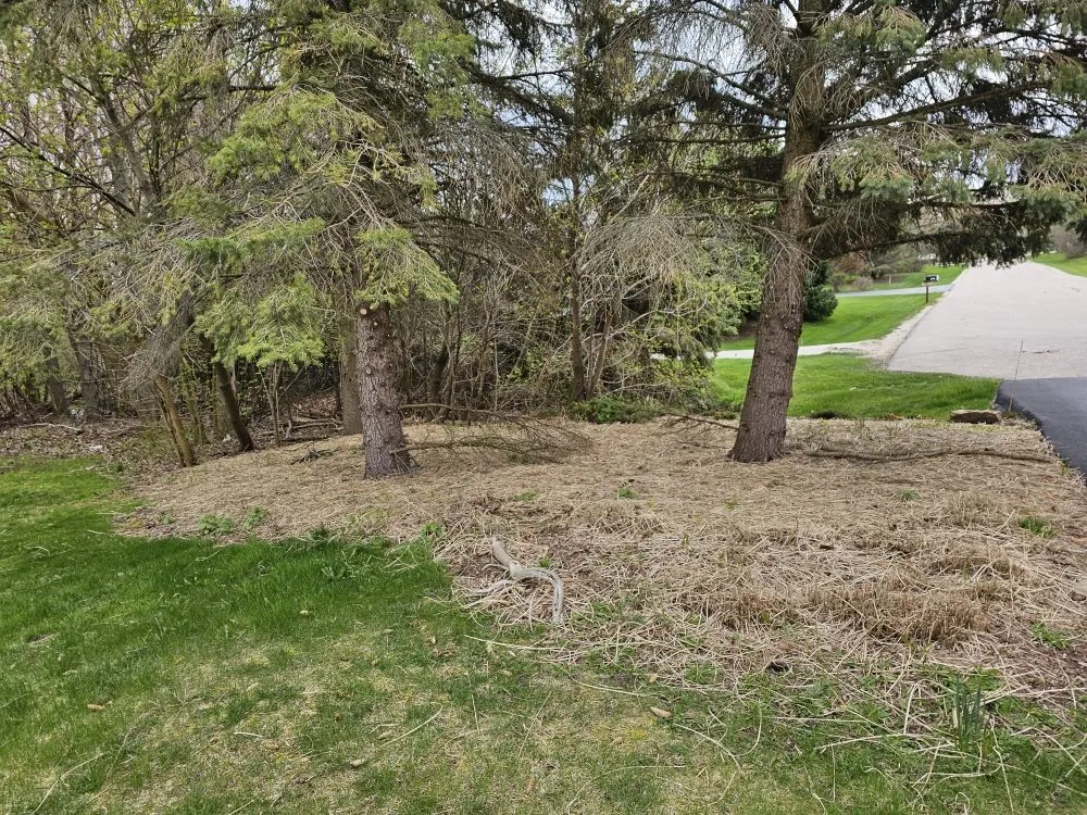 Slide of As Good As New