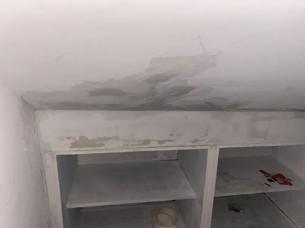 Slide of A’s helping hands