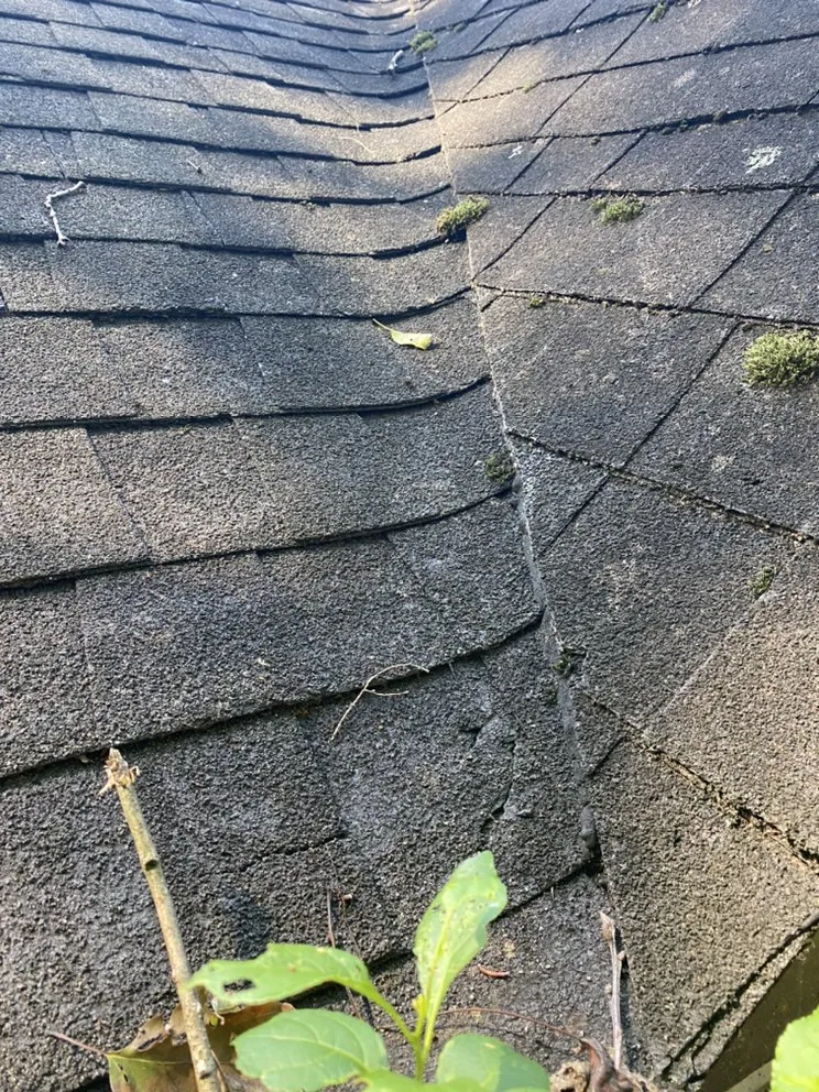 Slide of A’s helping hands