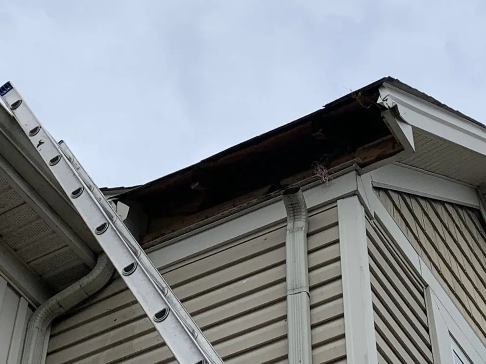 Slide of ASAR  Roofing & Gutters