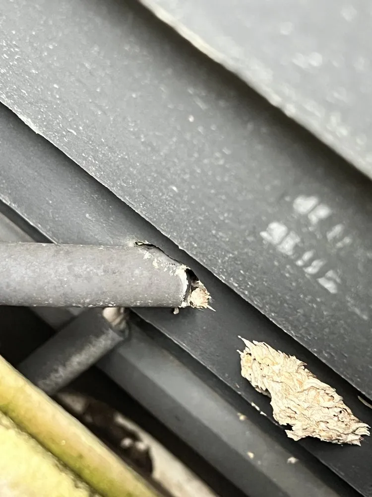 Slide of ASC Exteriors