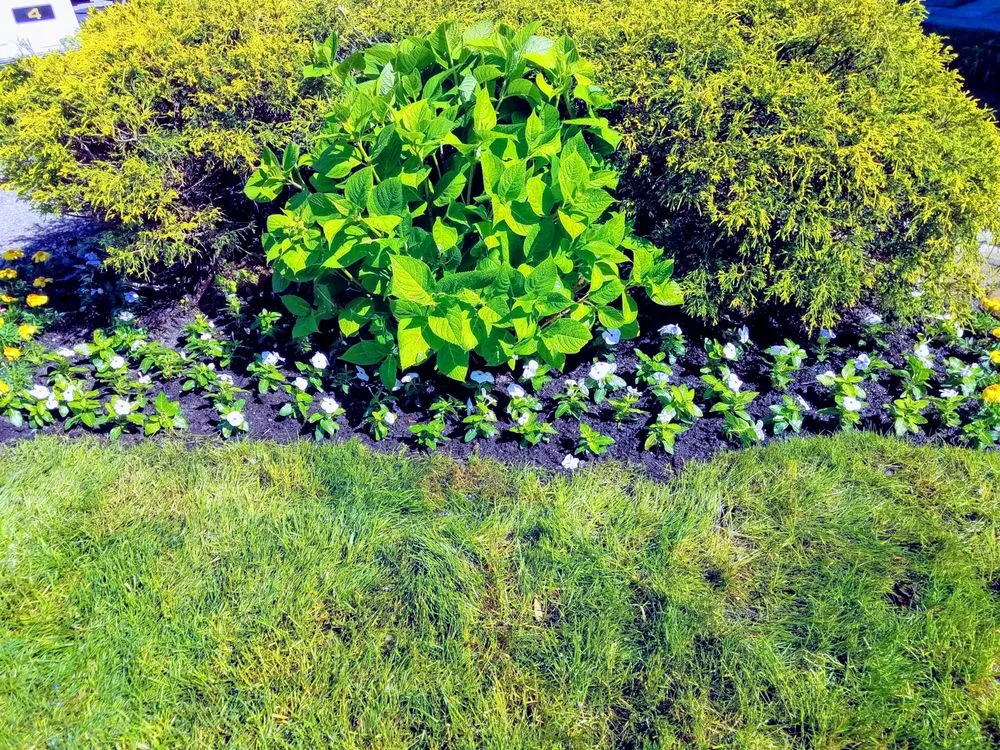 Slide of Ash Outfitter's Property Maintenance