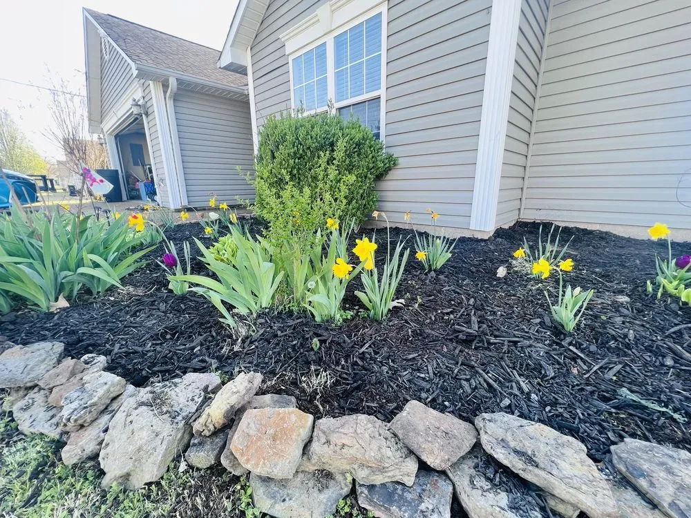 Slide of Asher Handyman and Restoration