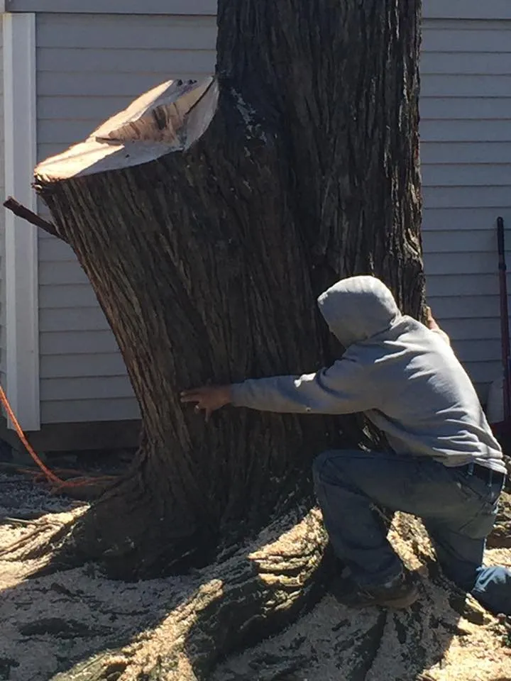 Expert roof inspection near you in Locust Grove, VA by Ask Zello Roofing