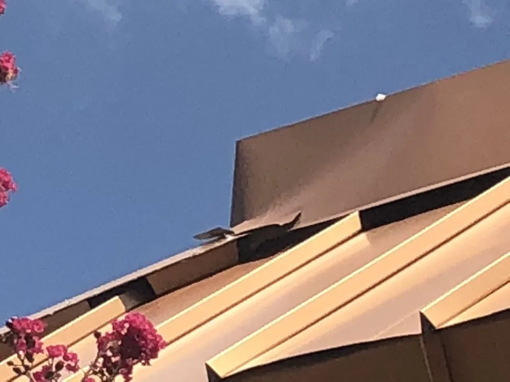 Slide of Aspen Contracting