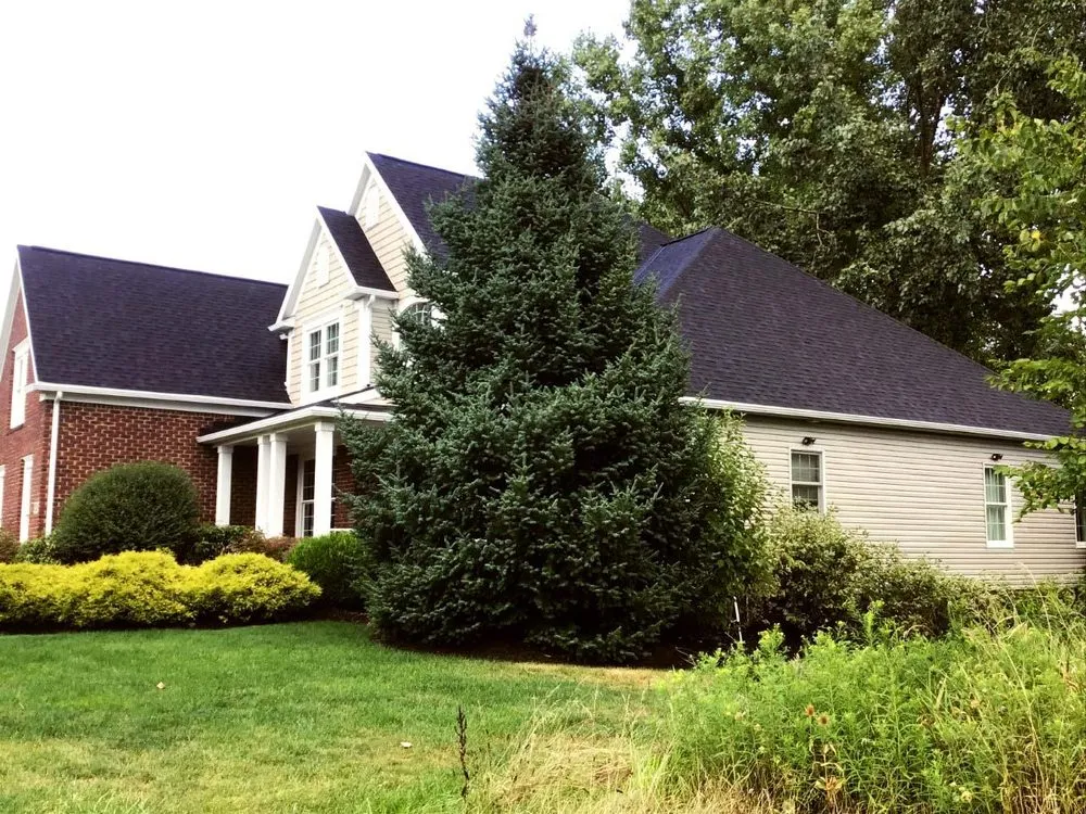 Licensed roof replacement experts serving Lee's Summit, MO - Aspen Contracting