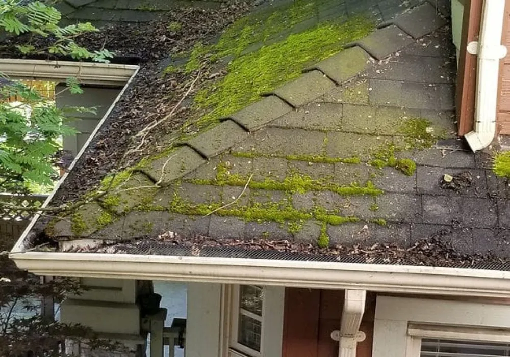 Slide of Assest Roofing and Masonry