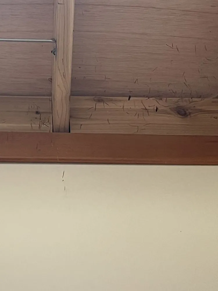 Slide of Asset Roofing Company