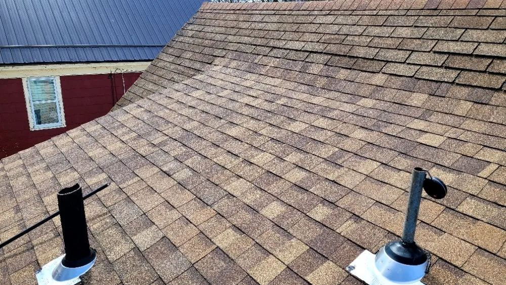 Slide of Astraeus Contracting