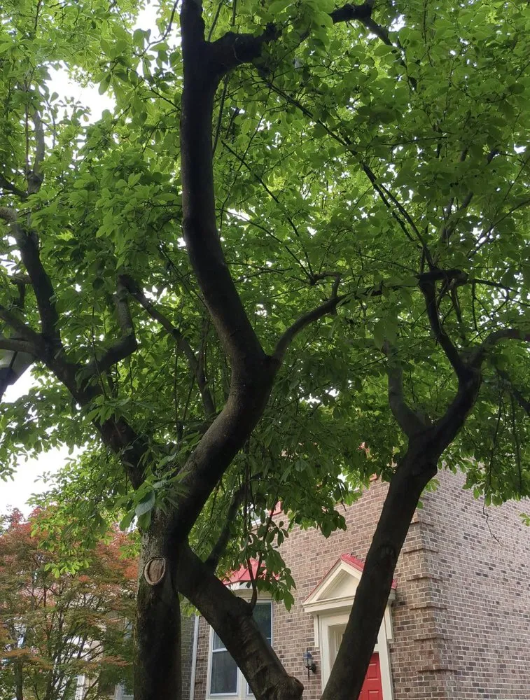 Slide of AT General Contracting Services