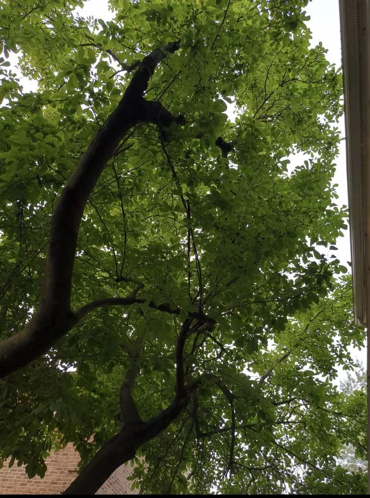 Slide of AT General Contracting Services