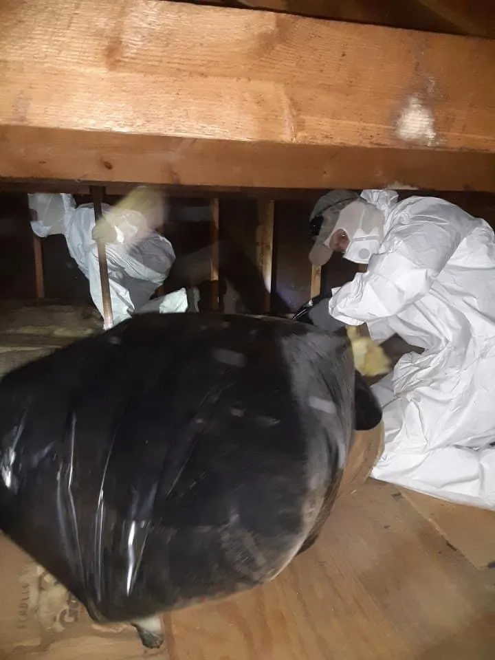 Slide of At Top Roofing & Painting