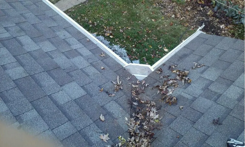 Slide of At Your Service