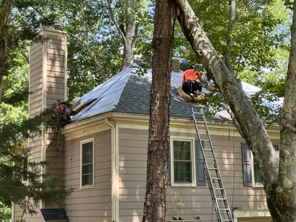 Slide of ATL Window King