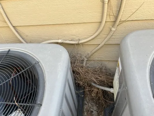 Atlanta's Best Gutter Cleaners Logo