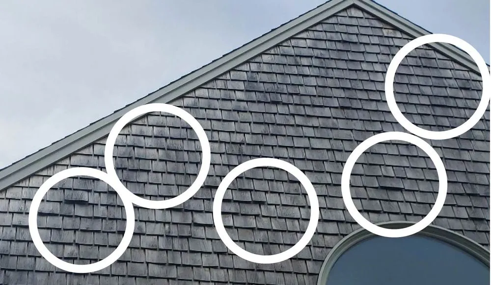 Slide of Atlantic Coast Property Solutions