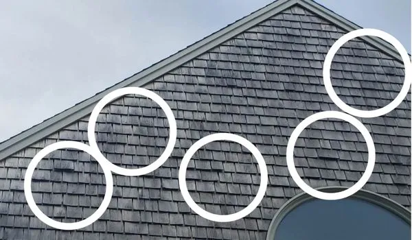 Atlantic Coast Property Solutions