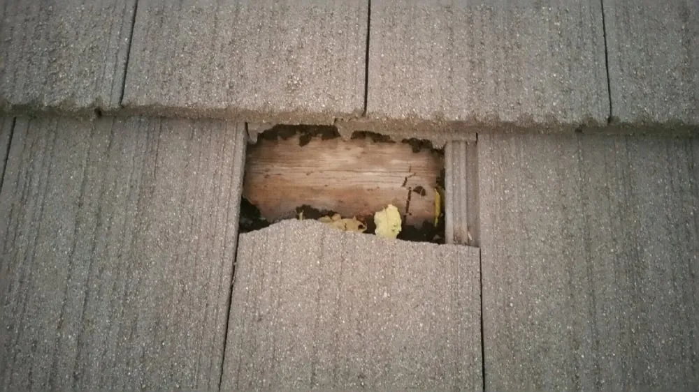 Slide of Atlas Roofing Company